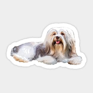 Havanese Dog Sticker